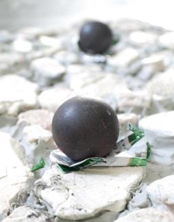 Νεκρή-Φύση-2