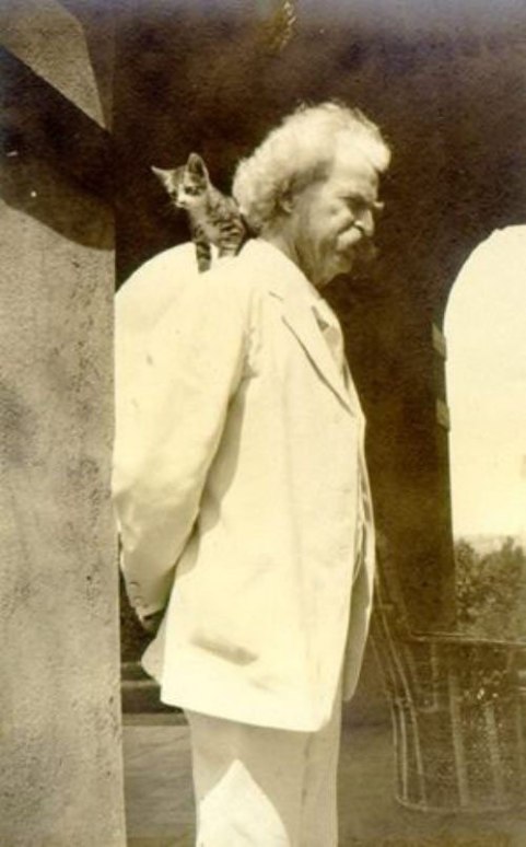 twain with cat