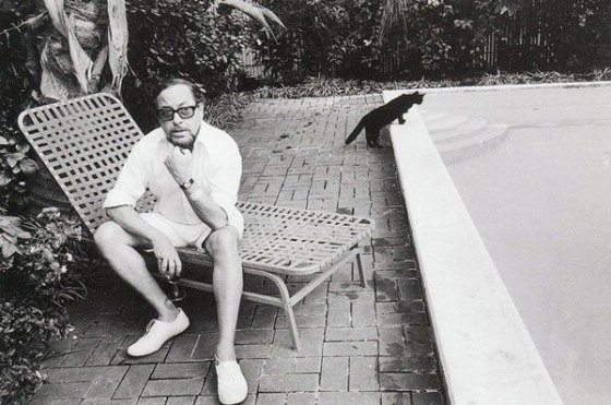 williams and cat