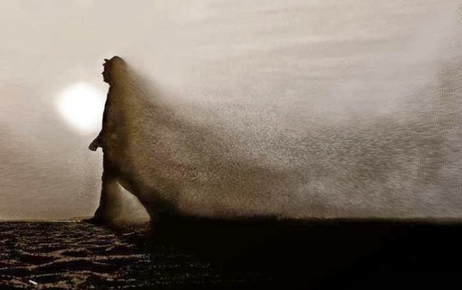 ΦΑΙΝΟΜΕΝΟΛΟΓΙΑ