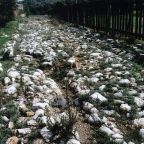 Η Ανοιχτή Τέχνη παρουσιάζει την πρότασή της για την ανάδειξη της Ιεράς Οδού