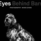 Eyes behind bars | Έκθεση φωτογραφίας αφιερωμένη στα αδέσποτα στο ΚΠΙΣΝ