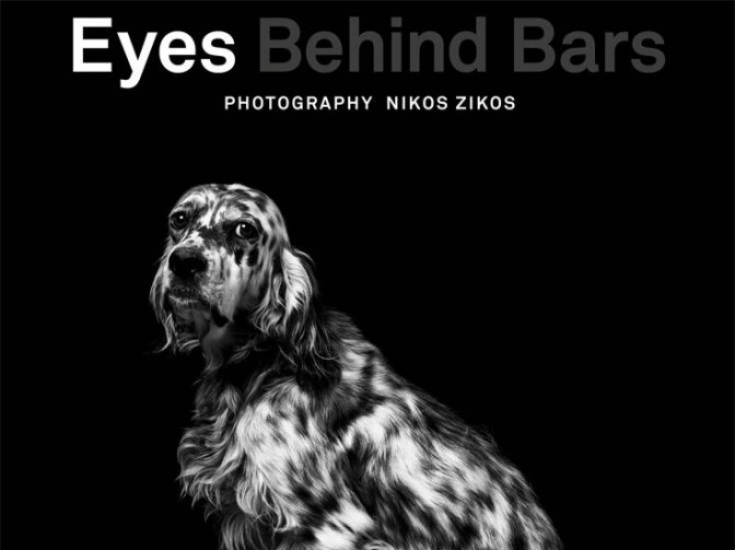 EyesBehindBars_Banner_Portrait