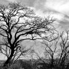 #4 | Μένουμε σπίτι και γράφουμε | Γιώργος Χ. Θεοχάρης