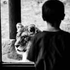 #34 | Μένουμε σπίτι και γράφουμε | Πέτρος Γαλιατσάτος