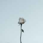 #67 | Μένουμε σπίτι και γράφουμε | Κώστας Τσιούφης