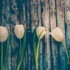 #57 | Μένουμε σπίτι και γράφουμε | Βασίλης Παναγιωτόπουλος