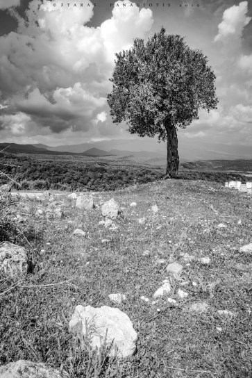 102556931_290411818762299_486183500967853632_n