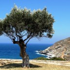 Μάγδα Παπαδημητρίου – Σαμοθράκη | Μισοτιμής