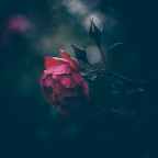 Τάκης Π. Πιερράκος | Όταν σε κοιτάζω