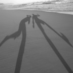 Μαργαρίτα Παπαμίχου | Σκιές