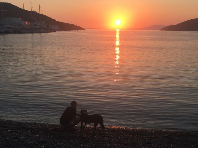 40056719_660249324346244_5737171989206925312_n