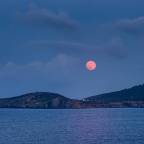 Αλέξανδρος Χατζητιμοθέου | Ένα χαϊκού για τον Αύγουστο