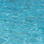 Σίσσυ Καρασαχινίδου | Ένα (+ένα) χαϊκού για τον Αύγουστο