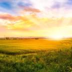 Σπύρος Κιοσσές | Κάθε ξημέρωμα