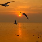 Αλέξανδρος Χατζητιμοθέου |  Από Γείωση