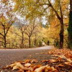 Βιβή Κοψιδά – Βρεττού | 5 χαϊκού για το φθινόπωρο