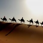 Τάκης Π. Πιερράκος | Το καραβάνι