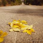 Αφροδίτη Μιχαηλίδου | Ακύητη Ιστορία