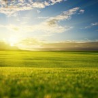 Αντώνης Χρ. Περδικούλης | Όταν όλα υποκλιθούν