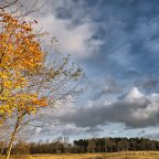 Μαρία Σέντζα | Ένα χαϊκού για το φθινόπωρο