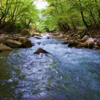 Μαργαρίτα Παπαμίχου | CV