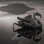 Πασχάλης Κατσίκας | Τα κόκκινα πουλιά