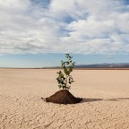 Μαίρη Φλώρου | Η διεύρυνση  των αντοχών μας