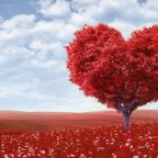 7 παιδικά βιβλία για την αγάπη