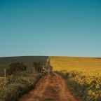 Αχιλλέας Φιστουρής | Εαρινή ισημερία