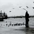 Τάκης Π. Πιερράκος | Ο γλάρος ποιητής