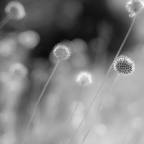 Βιβή Κοψιδά-Βρεττού | Το ψέμα του Απρίλη