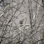 Πασχάλης Κατσίκας | Πώς έσβησε το κόκκινο