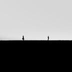 Κώστας Γουλιάμος | Αγρίμια της νύχτας