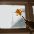 Αλεξία Καλογεροπούλου | Ποίημα