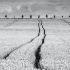 Αλεξία Καλογεροπούλου | Ένα χαϊκού για τον Ιούνιο