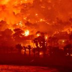 Δημήτρης Καρπέτης | Τα πορφυρά χαλάσματα