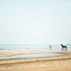 Μαργαρίτα Παπαμίχου | Μικρές Αγγελίες