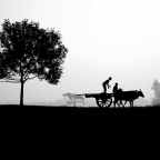 Άρης Ορφανίδης | Δυο ποιήματα