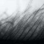 Γιώργος Δουατζής | Χρόνου σκιά (απόσπασμα)