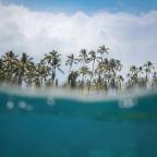 Μιχάλης Νικολάου | Χαβάη!