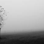 Σοφία Κιόρογλου | Μεταξοσκώληκες