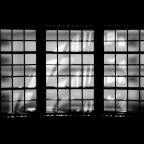 Δημήτρης Καρπέτης | Άλκιμοι πόθοι