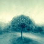 Σπύρος Κιοσσές | Συγχρονισμός