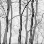 Γρηγόρης Σακαλής | Βατερλώ