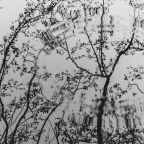 Αντώνης Μπαλασόπουλος | Εικοσιτέσσερις περιστροφές