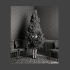 Μιρέλλα Μπούτζα | Το στολίδι