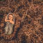 Ιωάννης Παπουτσάκης | Η φάτνη της καρδιάς