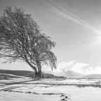 Δημήτρης Καρπέτης | Χειμωνιάτικος ήλιος