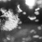 Γιώργος Δουατζής | Οι ευχές μου